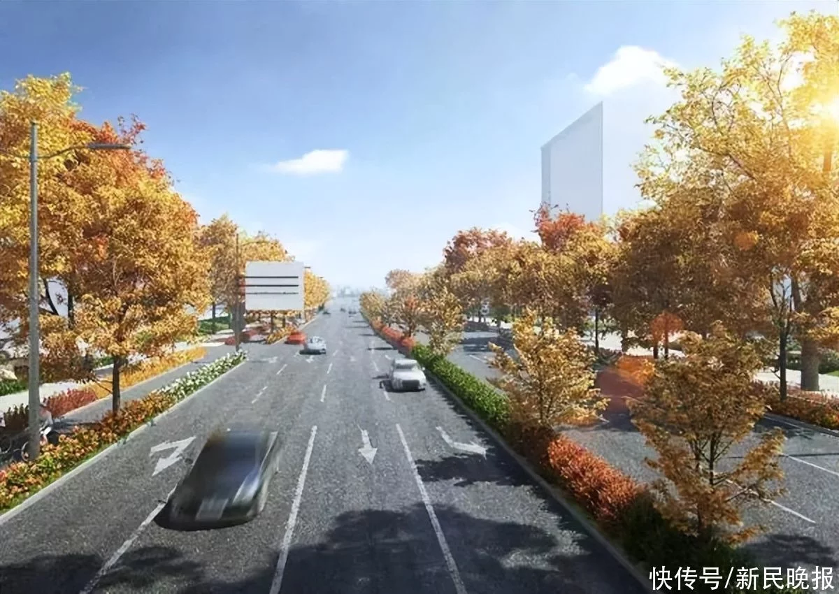 4車道變6車道!高科東路(華東路—外環線)改建工程進入道路主體施工階段(圖3) 4車道變6車道!高科東路(華東路—外環線)改建工程進入道路主體施工階段(圖3)