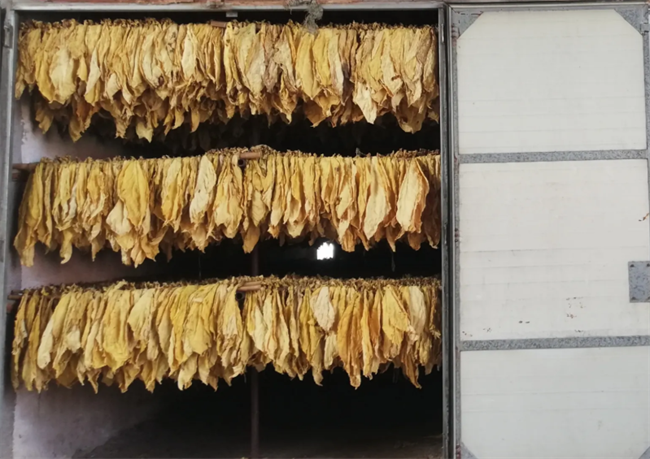 昆明新式烤煙房、烤煙烘干機(jī)哪家好？推薦云南采金烘干機(jī)廠家(圖4)