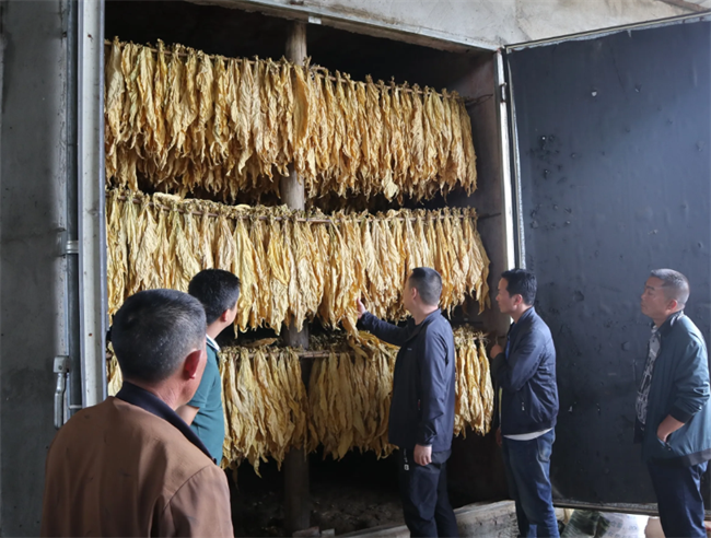 昆明新式烤煙房、烤煙烘干機(jī)哪家好？推薦云南采金烘干機(jī)廠家(圖3)