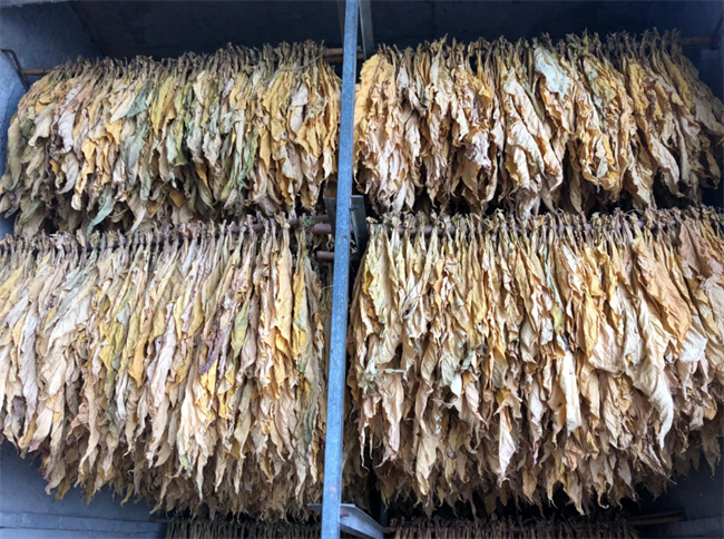 昆明新式烤煙房、烤煙烘干機(jī)哪家好？推薦云南采金烘干機(jī)廠家(圖5)