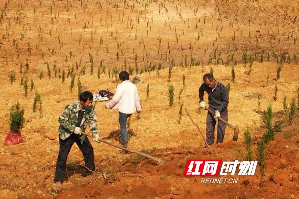 衡南鐵腕整治非法采洗山砂工作(圖2)