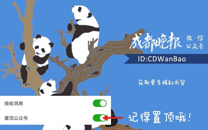 集中清理整頓7家砂場崇州西河重現河清岸綠(圖4)