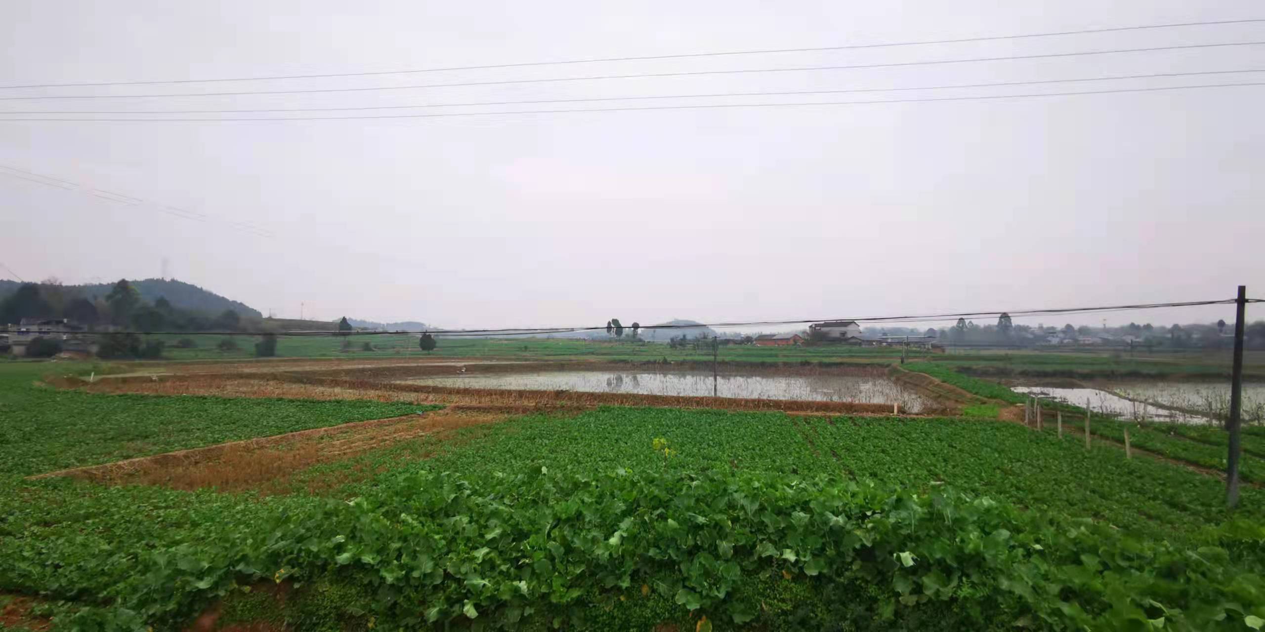 開挖耕地建房、挖砂、養(yǎng)魚……這五起破壞耕地案被起訴了(圖1)