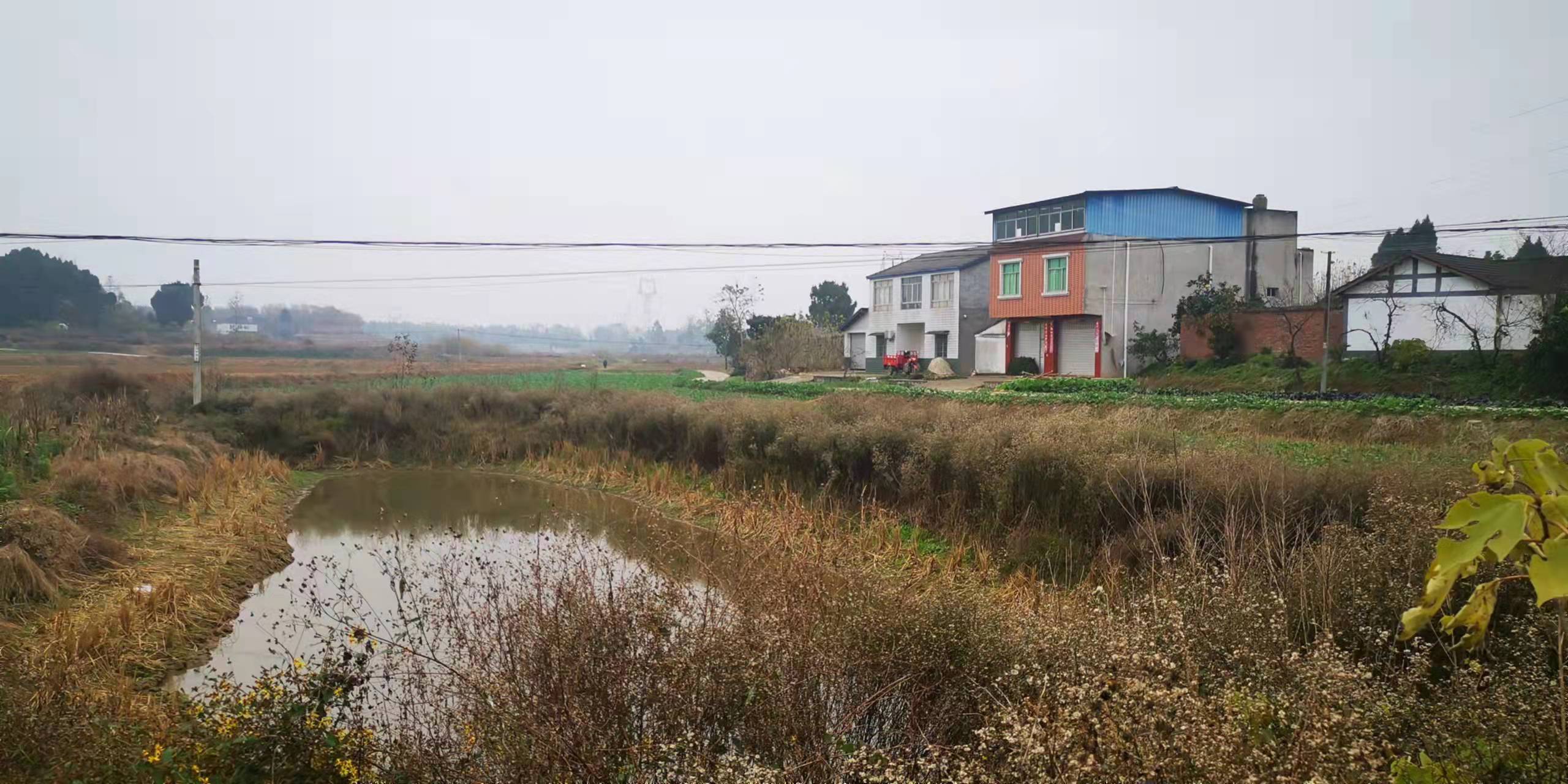 開挖耕地建房、挖砂、養(yǎng)魚……這五起破壞耕地案被起訴了(圖2)