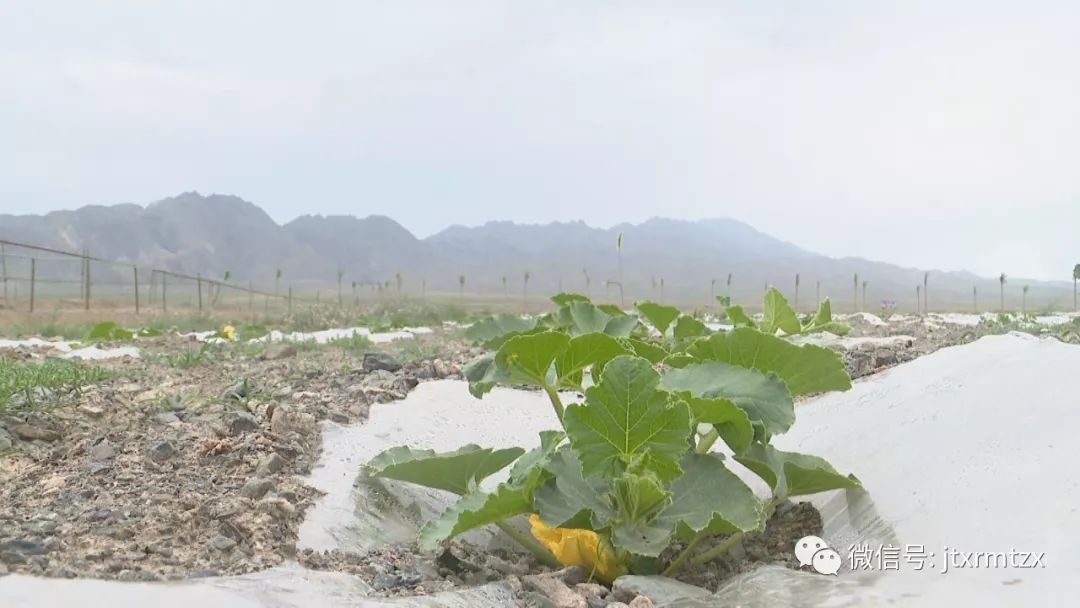 甘肅盛浩誠(chéng)砂石場(chǎng)：環(huán)保高效規(guī)范化生產(chǎn)推動(dòng)企業(yè)綠色發(fā)展(圖7)