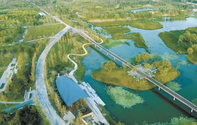 首都五年新變化聚焦北京市十三次黨代會(huì)丨朝陽(yáng)聚焦“三化”打造首都金名片(圖10)