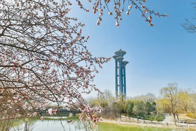 首都五年新變化聚焦北京市十三次黨代會(huì)丨朝陽(yáng)聚焦“三化”打造首都金名片(圖9)