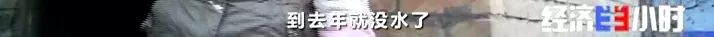 一夜之間，黃河支流變色！化工污水蔓延40公里，說好的河長(zhǎng)呢……(圖14)