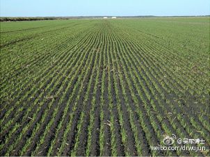 ?《文明之光》之《發(fā)明365》1月27日，壟耕種植法(圖1)