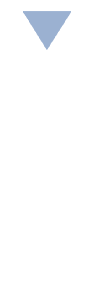 山推大型礦用裝備批量出口發(fā)運(yùn)儀式舉行(圖9)