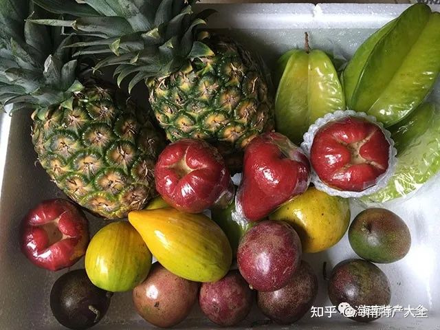 來海南必買的十大特產(chǎn),每一個(gè)都值得你帶回家(圖1) 來海南必買的十大特產(chǎn),每一個(gè)都值得你帶回家(圖1)