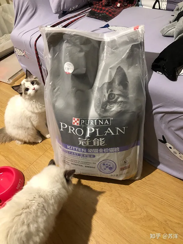 在58同城上買寵物靠譜嗎？(圖11)