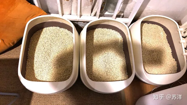 在58同城上買寵物靠譜嗎？(圖14)