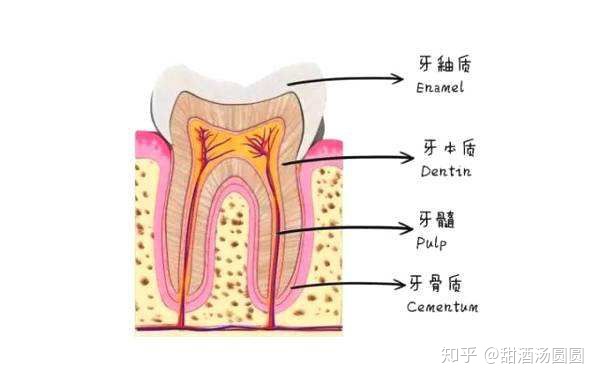 我在長沙市口腔醫院補牙全過程及經驗分享(圖7)