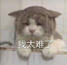 2022年家用烤箱推薦大全，附長帝、美的、格蘭仕、蘇泊爾、西門子、松下、博世、老板、華帝、方太、北美等各大品牌20款不同價位烤箱推薦（建議收藏）(圖2)