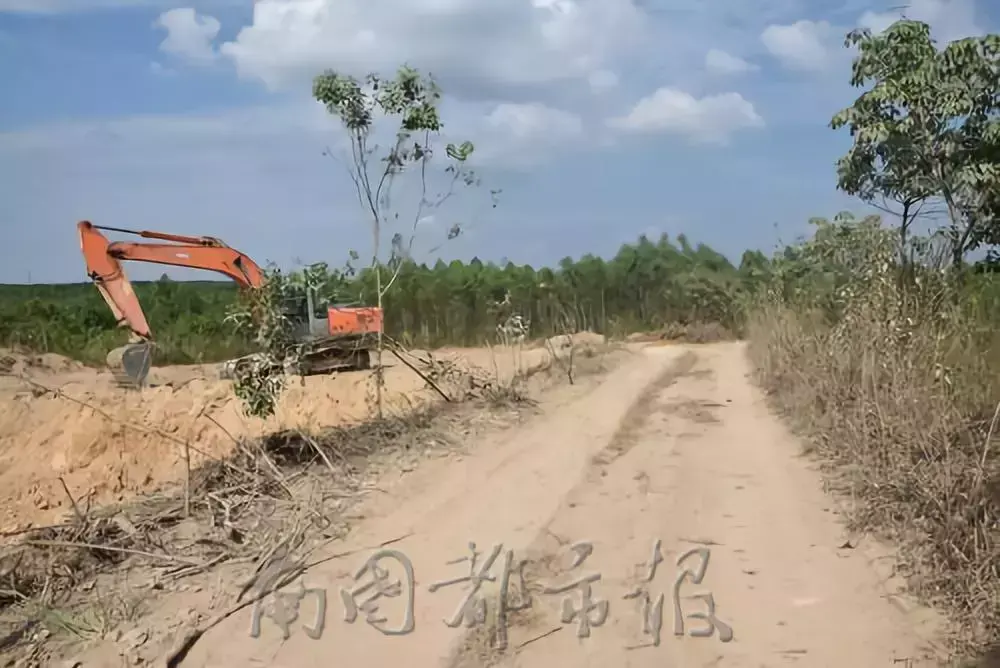 “不買我的砂就打死你！”海南這11個“砂霸”因涉黑涉惡覆滅(圖8)
