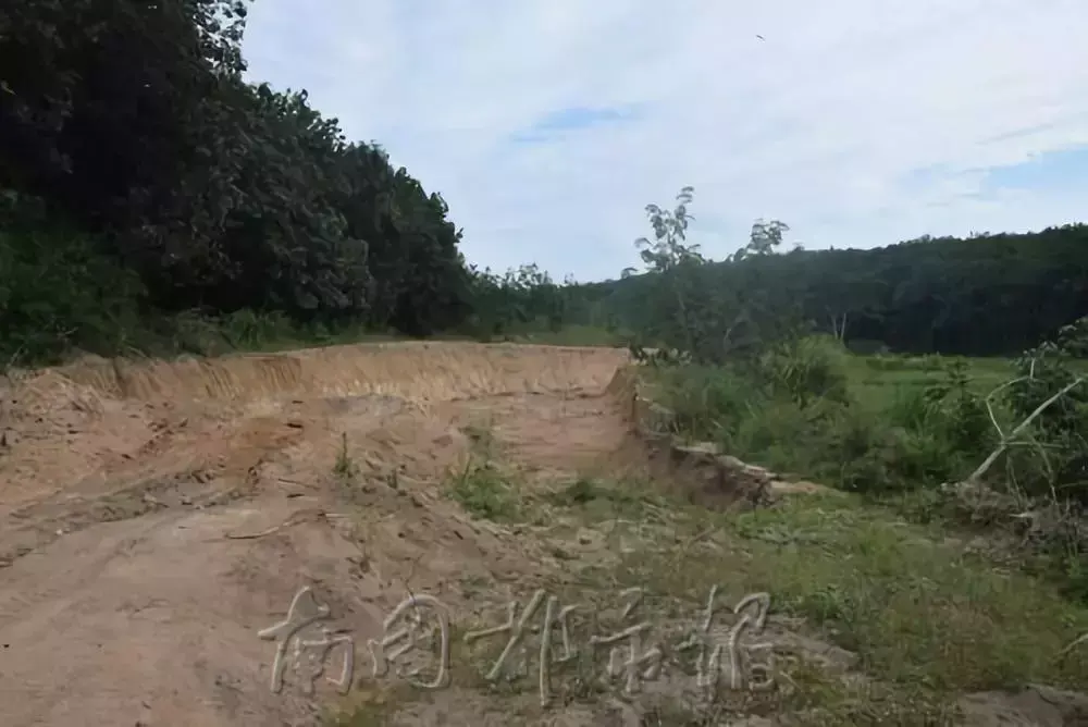“不買我的砂就打死你！”海南這11個“砂霸”因涉黑涉惡覆滅(圖11)