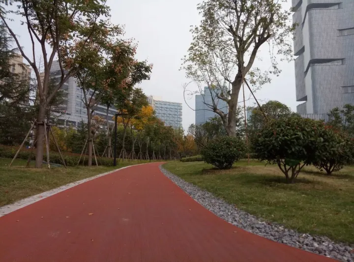 鄭州最好公園！大人能跑步，小孩能玩沙，設(shè)備全進(jìn)口，不收門票！(圖3)