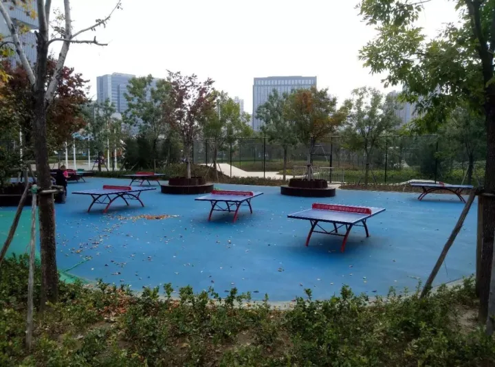鄭州最好公園！大人能跑步，小孩能玩沙，設(shè)備全進(jìn)口，不收門票！(圖11)