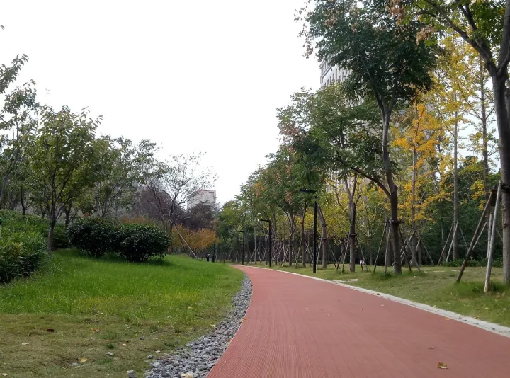 鄭州最好公園！大人能跑步，小孩能玩沙，設(shè)備全進(jìn)口，不收門票！(圖15)