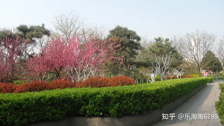泰安:它是“皇城根里第一條街”,是泰安最繁華老街之一,如今還殘存些許影子,現(xiàn)卻幾無(wú)人知!(圖7) 泰安:它是“皇城根里第一條街”,是泰安最繁華老街之一,如今還殘存些許影子,現(xiàn)卻幾無(wú)人知!(圖7)