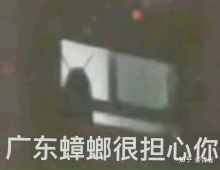 有哪些你認為能提高生活幸福感的高質量家庭產品？(圖2)