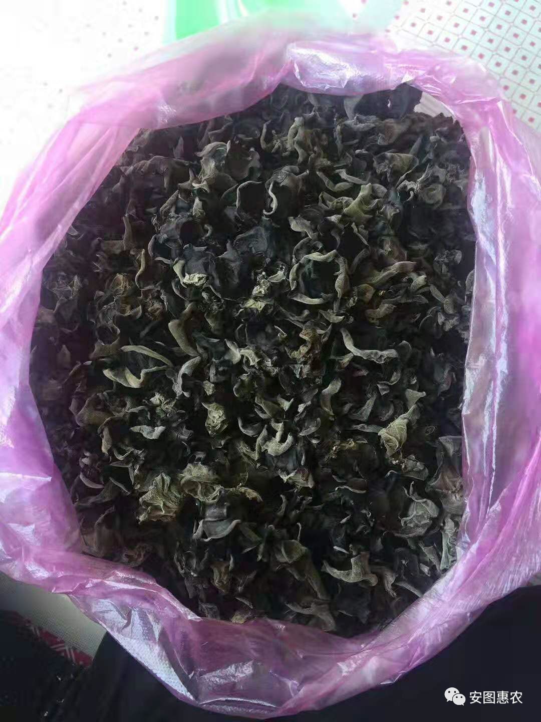 【供求信息】綜合(11.11)如您需要發(fā)布供求信息，請在文章下方留言(圖8)