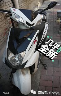 【青陽便民信息】12月12日天氣—招聘—房產(chǎn)信息—二手信息—我要拼車(圖5)