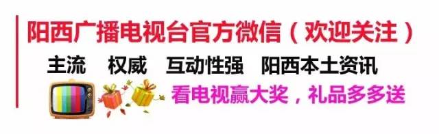陽(yáng)西縣嚴(yán)厲打擊河道非法采砂行為(圖2)